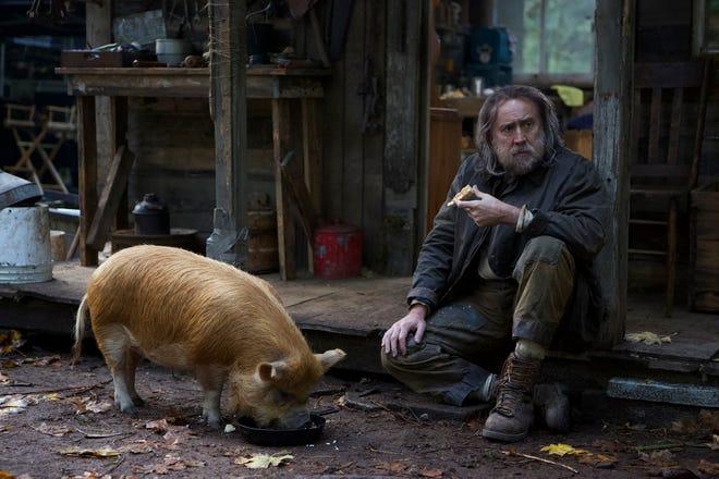Featured image for “Linda Cook review: ‘Pig’ is delectable indie fable of loss”